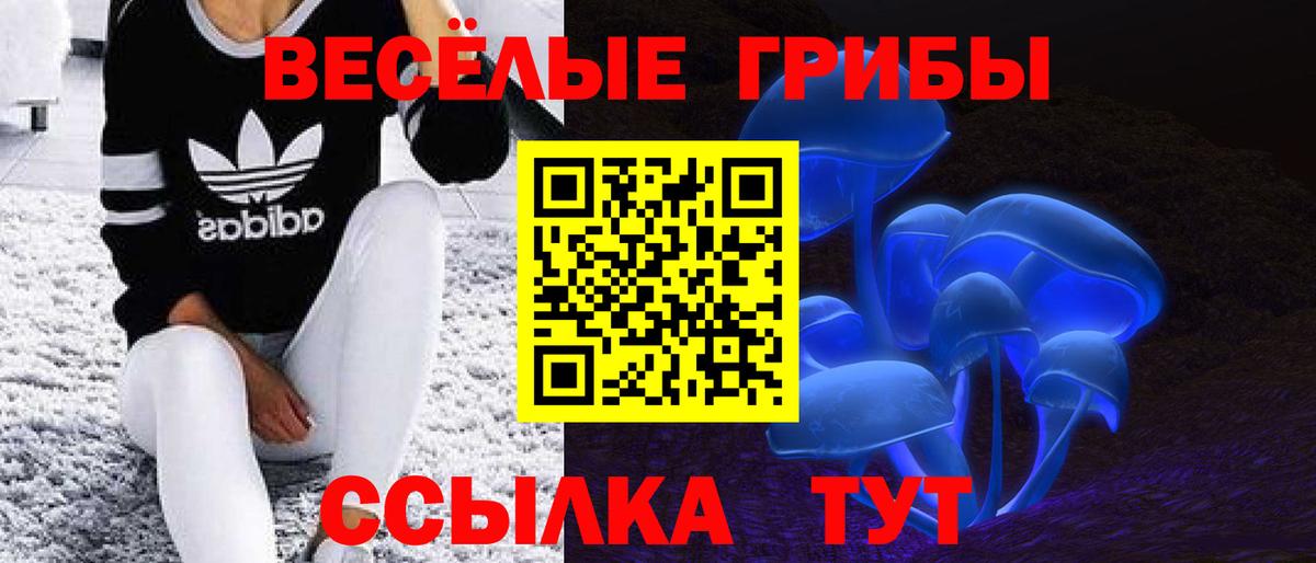 Галлюциногенные грибы Magic Shrooms  Вход с VPN  Отрадное 